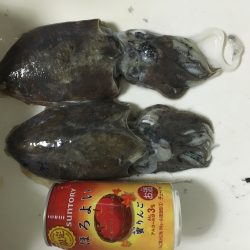 エギングのちジギング