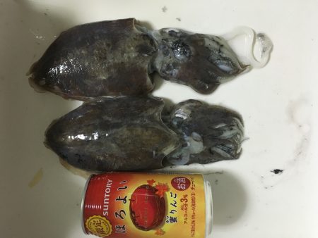 エギングのちジギング