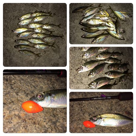 イオン前サーフでめばりんぐ