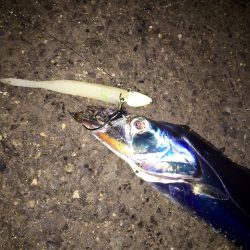 ちょこっとワインド