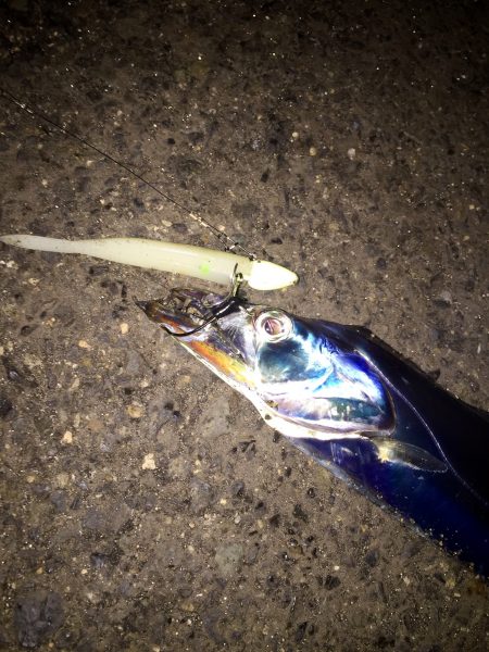 ちょこっとワインド