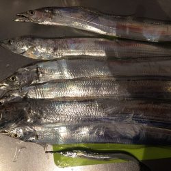 ワインド ゲーム