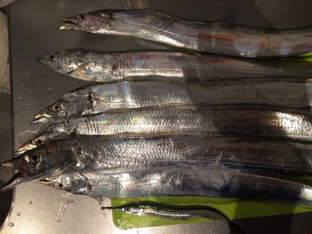 ワインド ゲーム