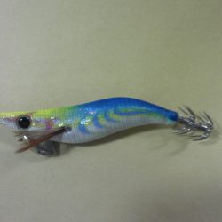 今年最後のエギング！