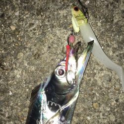 ジアイはわずか15分！