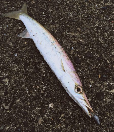 スライダーシャッド