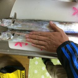 仕事帰りに短時間釣行