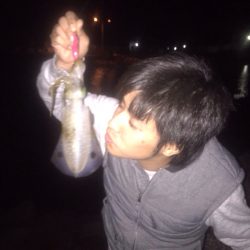 新子狙い(*´罒`*)