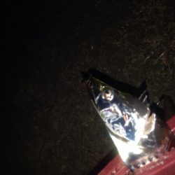 タチウオワインド