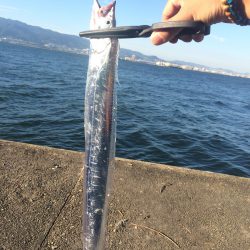 初の武庫川一文字