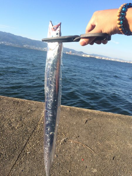 初の武庫川一文字