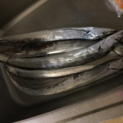 ドラゴン４ヒット