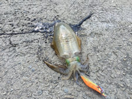 強風の中の貴重な一杯