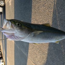 ショアジギング