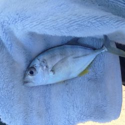 マイクロメッキ！