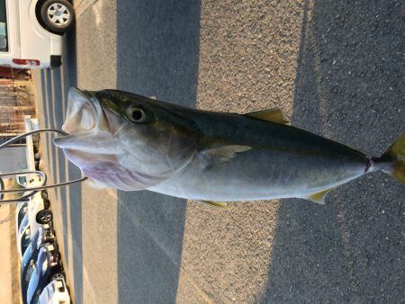 ショアジギング