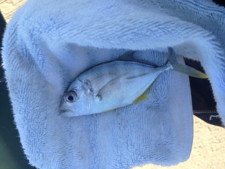 マイクロメッキ！