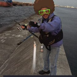 渋いのかヘタなのか…