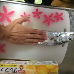 早朝ボイルで爆釣の筈が、、、