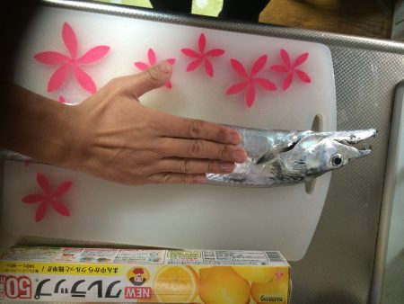 早朝ボイルで爆釣の筈が、、、