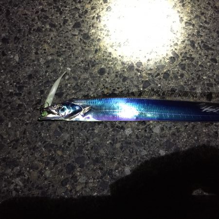 会社帰りに…ヽ(・∀・)ﾉ