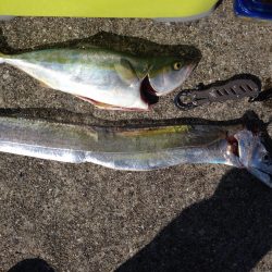 初ポーアイ沖行ってきました