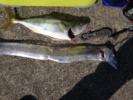 初ポーアイ沖行ってきました