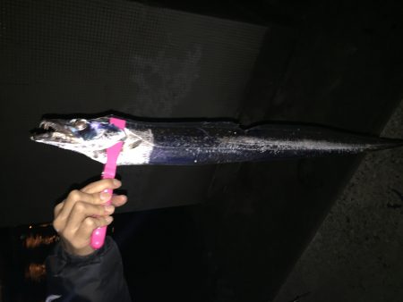 ゲキシブの中での価値ある一匹