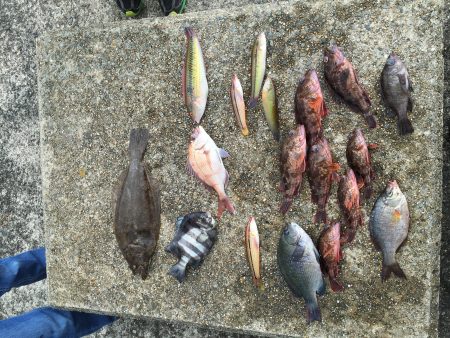 ウリ坊でもつれました