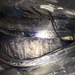 タチウオ。渋い、、、