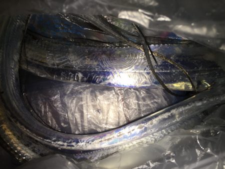 タチウオ。渋い、、、