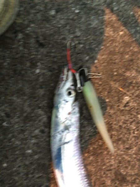 姫路タチウオ開幕