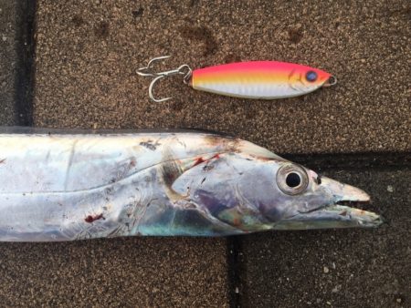 ジグでタチウオ