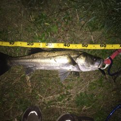 最後の一投で一本