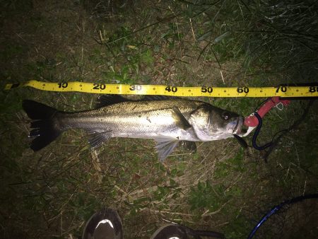 最後の一投で一本