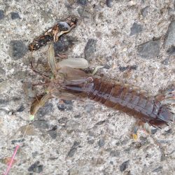 良い季節です。