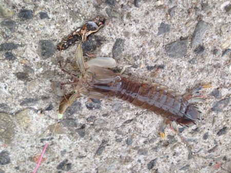 良い季節です。