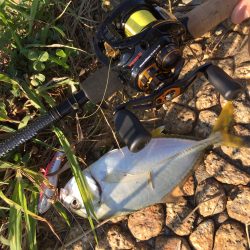 好調‼︎メッキゲーム！