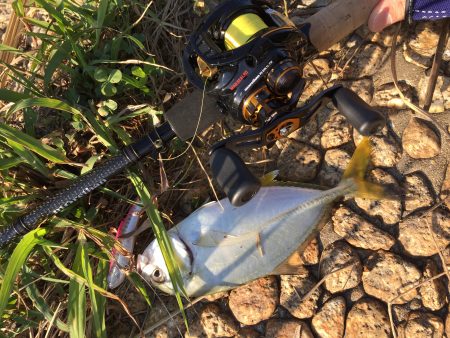 好調‼︎メッキゲーム!