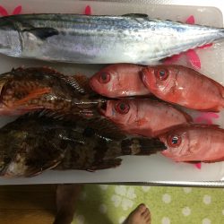 中紀・南紀遠征