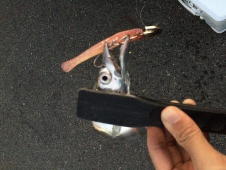 一瞬の出来事！！