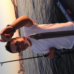 タチウオは裏切らない