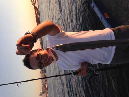 タチウオは裏切らない