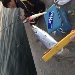 久々和歌山でのワインド