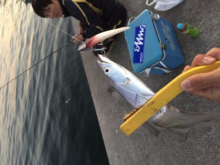 久々和歌山でのワインド