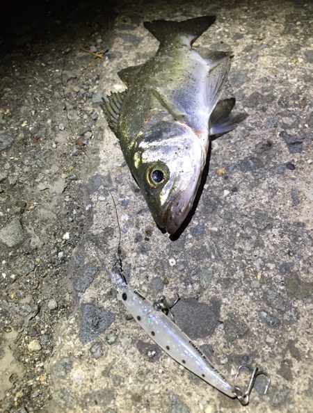 ポイント開拓！