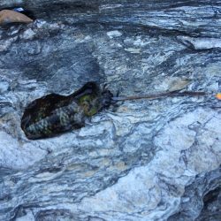 ウネリの為、紀北へ