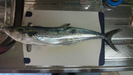 ボイルはあれど…