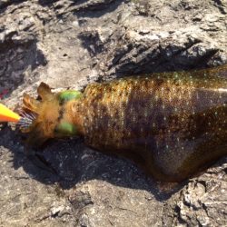 何とか１つ・・・