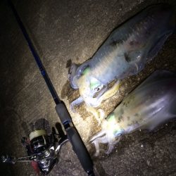 激流撃沈・・・